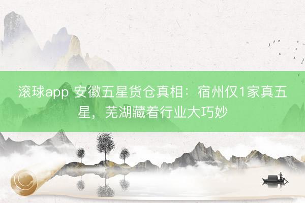 滚球app 安徽五星货仓真相：宿州仅1家真五星，芜湖藏着行业大巧妙