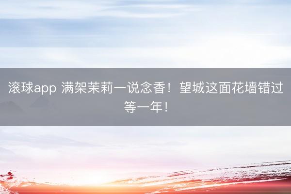 滚球app 满架茉莉一说念香！望城这面花墙错过等一年！
