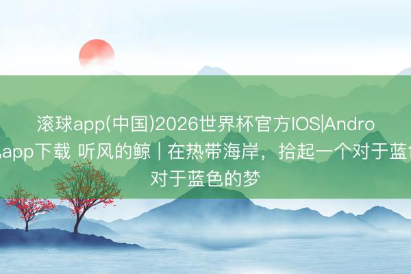 滚球app(中国)2026世界杯官方IOS|Android手机app下载 听风的鲸 | 在热带海岸，拾起一个对于蓝色的梦