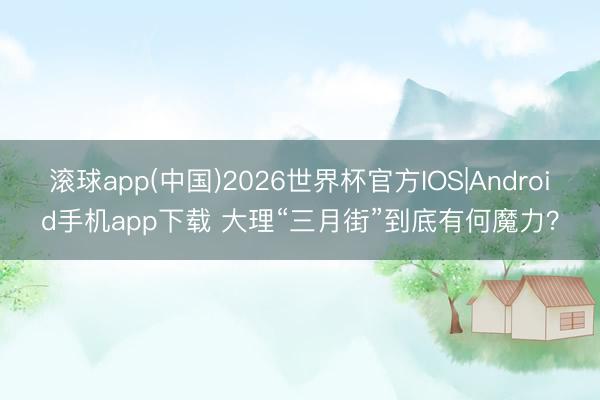 滚球app(中国)2026世界杯官方IOS|Android手机app下载 大理“三月街”到底有何魔力？