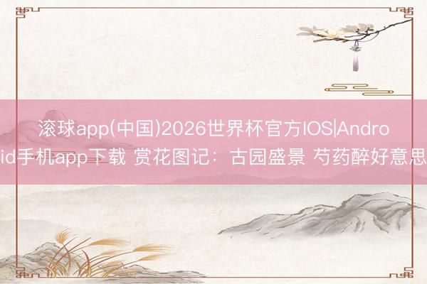 滚球app(中国)2026世界杯官方IOS|Android手机app下载 赏花图记：古园盛景 芍药醉好意思