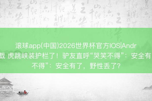 滚球app(中国)2026世界杯官方IOS|Android手机app下载 虎跳峡装护栏了！驴友直呼“哭笑不得”：安全有了，野性丢了？