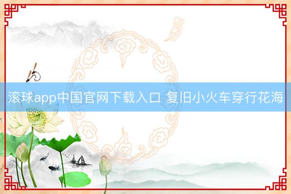 滚球app中国官网下载入口 复旧小火车穿行花海