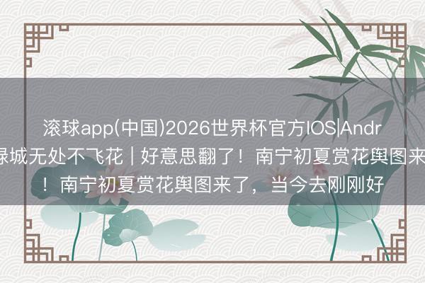 滚球app(中国)2026世界杯官方IOS|Android手机app下载 绿城无处不飞花 | 好意思翻了！南宁初夏赏花舆图来了，当今去刚刚好
