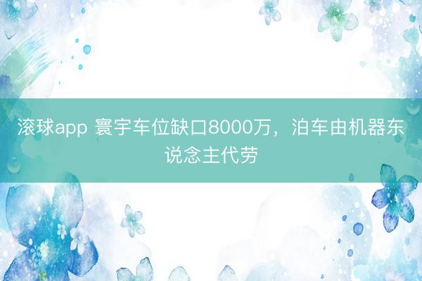 滚球app 寰宇车位缺口8000万，泊车由机器东说念主代劳