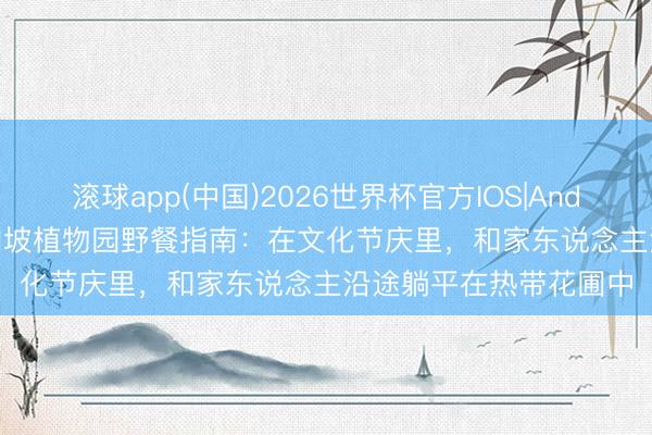 滚球app(中国)2026世界杯官方IOS|Android手机app下载 新加坡植物园野餐指南：在文化节庆里，和家东说念主沿途躺平在热带花圃中