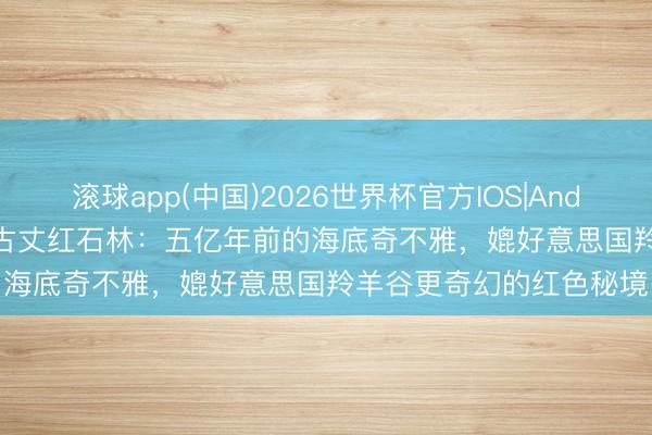 滚球app(中国)2026世界杯官方IOS|Android手机app下载 湖南古丈红石林：五亿年前的海底奇不雅，媲好意思国羚羊谷更奇幻的红色秘境