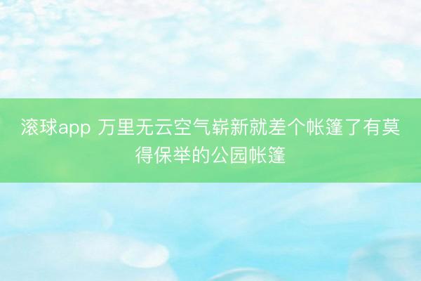 滚球app 万里无云空气崭新就差个帐篷了有莫得保举的公园帐篷