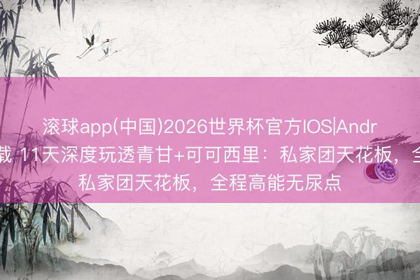 滚球app(中国)2026世界杯官方IOS|Android手机app下载 11天深度玩透青甘+可可西里：私家团天花板，全程高能无尿点