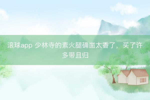 滚球app 少林寺的素火腿确凿太香了，买了许多带且归