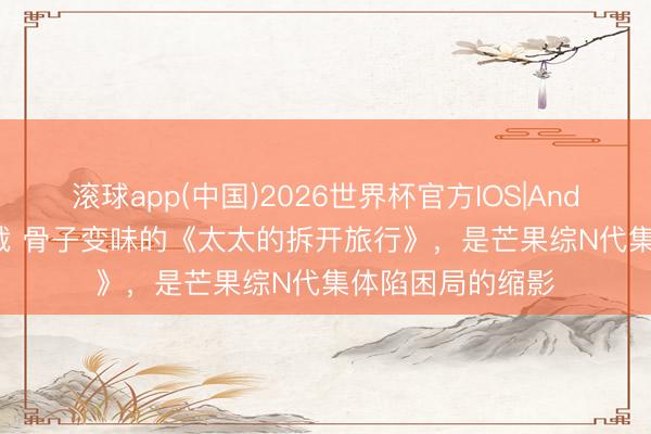 滚球app(中国)2026世界杯官方IOS|Android手机app下载 骨子变味的《太太的拆开旅行》，是芒果综N代集体陷困局的缩影