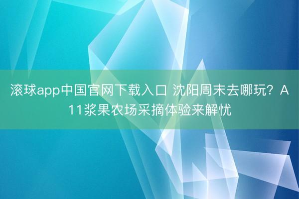 滚球app中国官网下载入口 沈阳周末去哪玩？A11浆果农场采摘体验来解忧