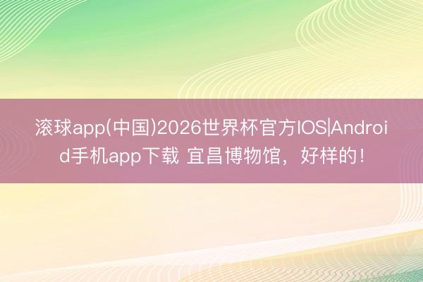 滚球app(中国)2026世界杯官方IOS|Android手机app下载 宜昌博物馆，好样的！