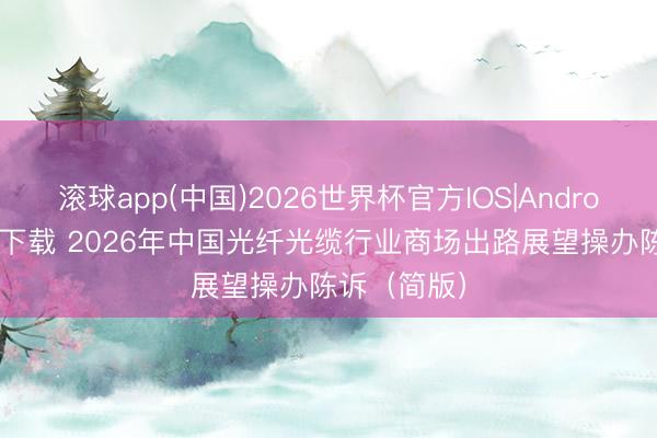滚球app(中国)2026世界杯官方IOS|Android手机app下载 2026年中国光纤光缆行业商场出路展望操办陈诉（简版）