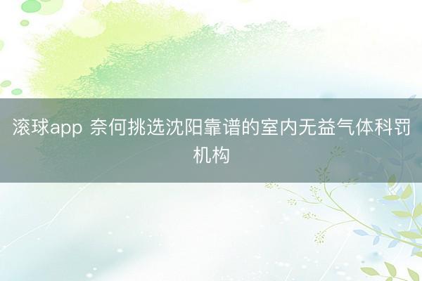 滚球app 奈何挑选沈阳靠谱的室内无益气体科罚机构