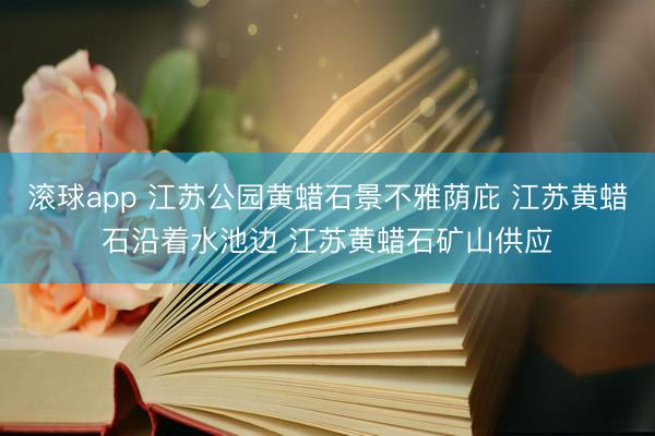 滚球app 江苏公园黄蜡石景不雅荫庇 江苏黄蜡石沿着水池边 江苏黄蜡石矿山供应