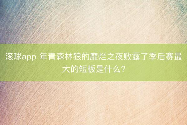 滚球app 年青森林狼的靡烂之夜败露了季后赛最大的短板是什么?