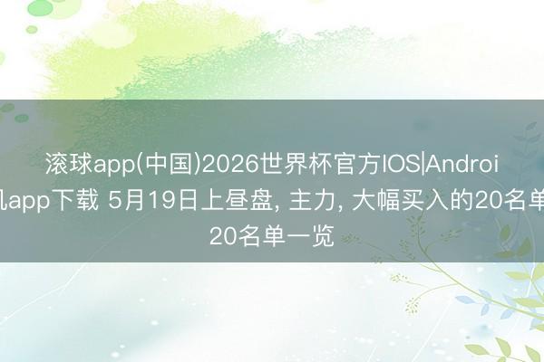 滚球app(中国)2026世界杯官方IOS|Android手机app下载 5月19日上昼盘， 主力， 大幅买入的20名单一览