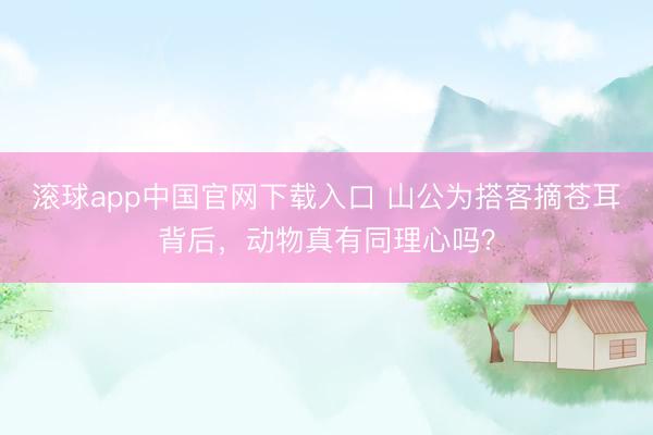 滚球app中国官网下载入口 山公为搭客摘苍耳背后，动物真有同理心吗？