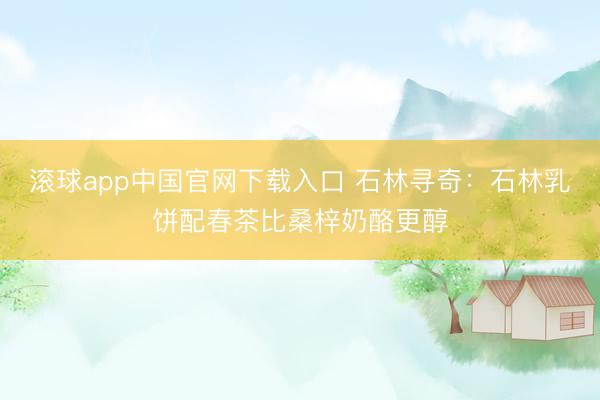 滚球app中国官网下载入口 石林寻奇：石林乳饼配春茶比桑梓奶酪更醇