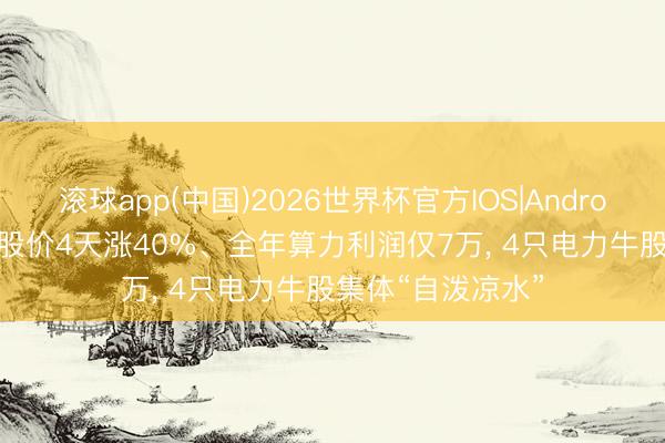 滚球app(中国)2026世界杯官方IOS|Android手机app下载 股价4天涨40%、全年算力利润仅7万， 4只电力牛股集体“自泼凉水”
