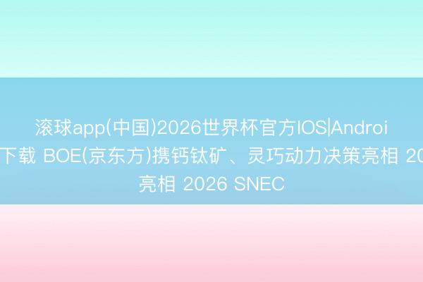 滚球app(中国)2026世界杯官方IOS|Android手机app下载 BOE(京东方)携钙钛矿、灵巧动力决策亮相 2026 SNEC