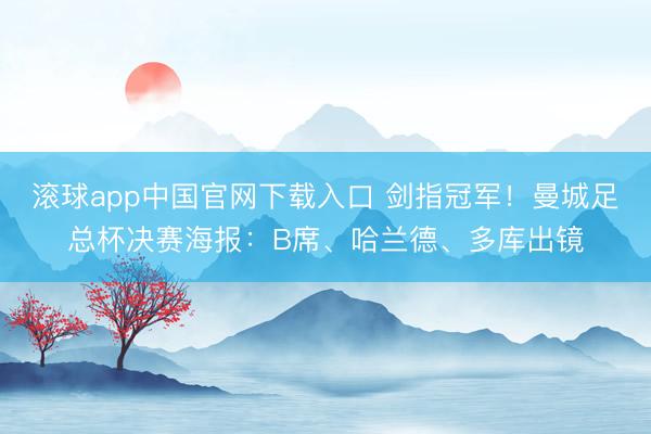 滚球app中国官网下载入口 剑指冠军!曼城足总杯决赛海报:B席、哈兰德、多库出镜