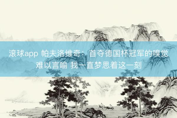 滚球app 帕夫洛维奇：首夺德国杯冠军的嗅觉难以言喻 我一直梦思着这一刻