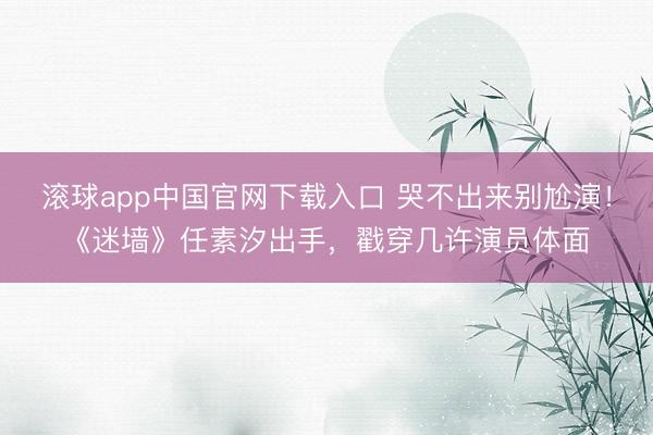 滚球app中国官网下载入口 哭不出来别尬演!《迷墙》任素汐出手,戳穿几许演员体面