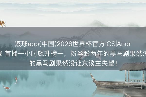 滚球app(中国)2026世界杯官方IOS|Android手机app下载 首播一小时飙升榜一，粉丝盼两年的黑马剧果然没让东谈主失望！