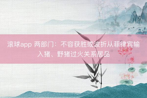 滚球app 两部门：不容获胜或波折从菲律宾输入猪、野猪过火关系居品