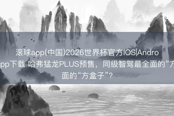 滚球app(中国)2026世界杯官方IOS|Android手机app下载 哈弗猛龙PLUS预售，同级智驾最全面的“方盒子”？