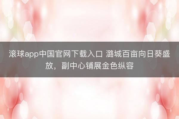 滚球app中国官网下载入口 潞城百亩向日葵盛放，副中心铺展金色纵容