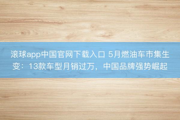 滚球app中国官网下载入口 5月燃油车市集生变：13款车型月销过万，中国品牌强势崛起